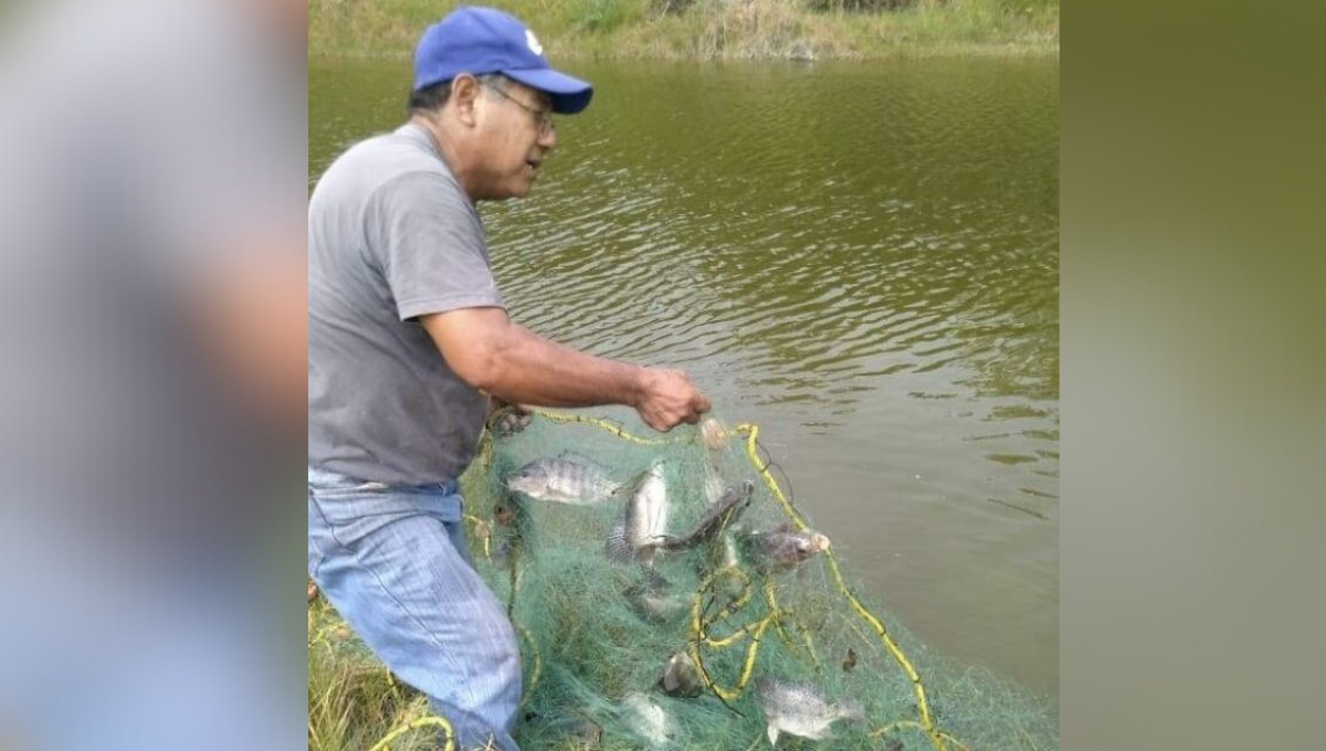 La producción de esta especie era una alternativa económica para los pescadores