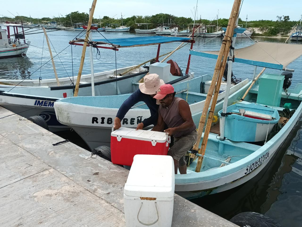 Pescadores llegaron hasta con 30 kilos de pulpo