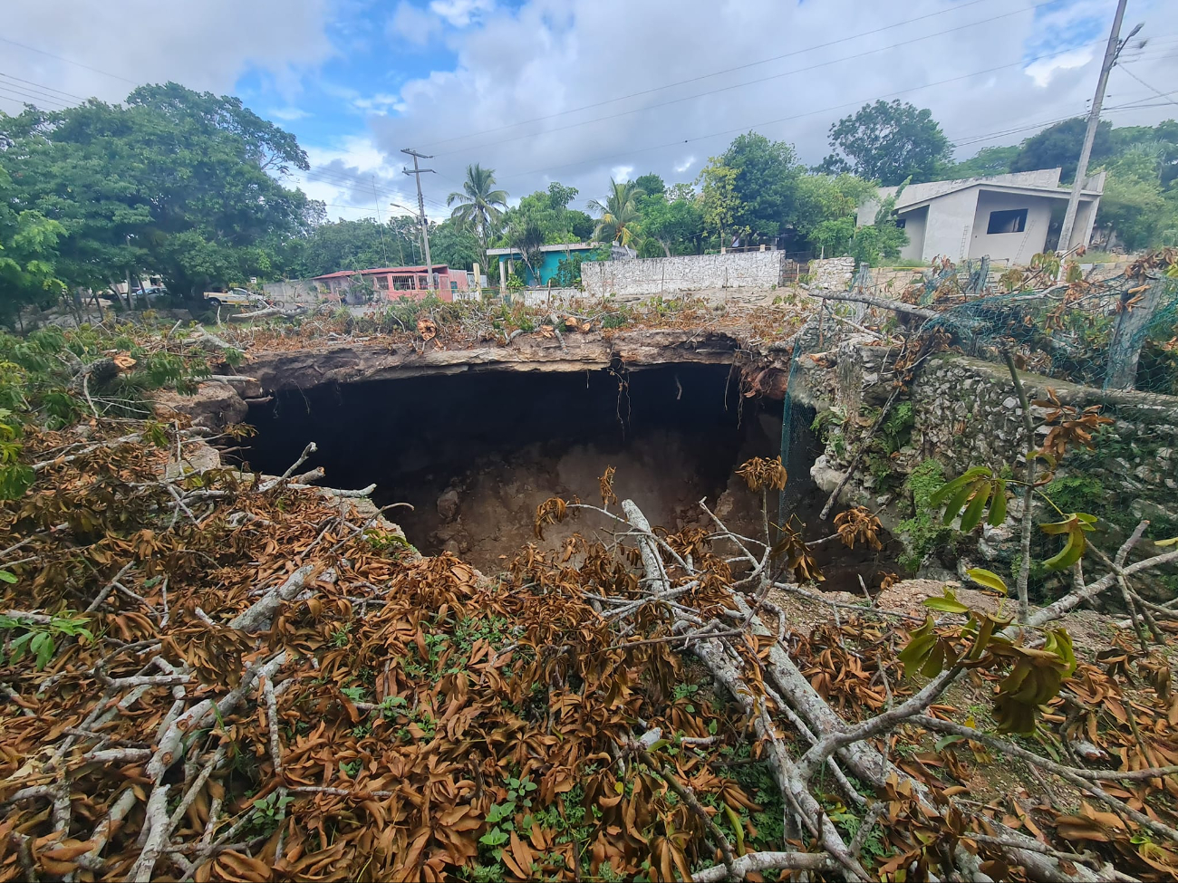   Qué significa la Ceiba hundida en un cenote; buzos exhiben el extraño caso de Xocen  