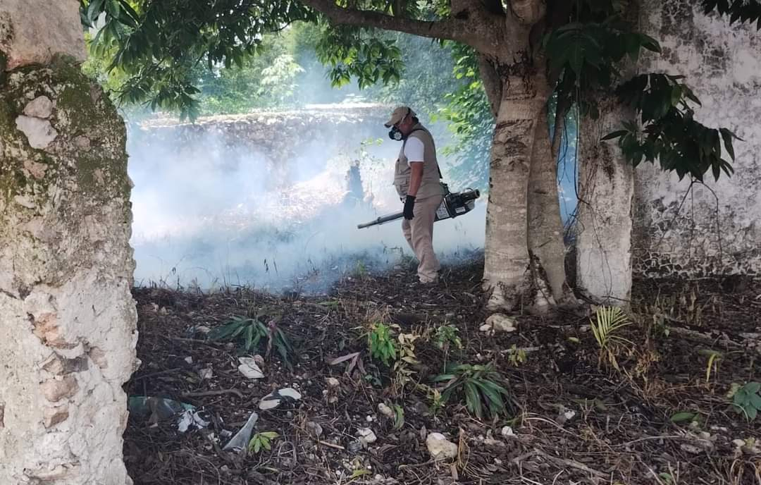 La SSA Campeche también realiza labores de control larvario en todo el Estado.