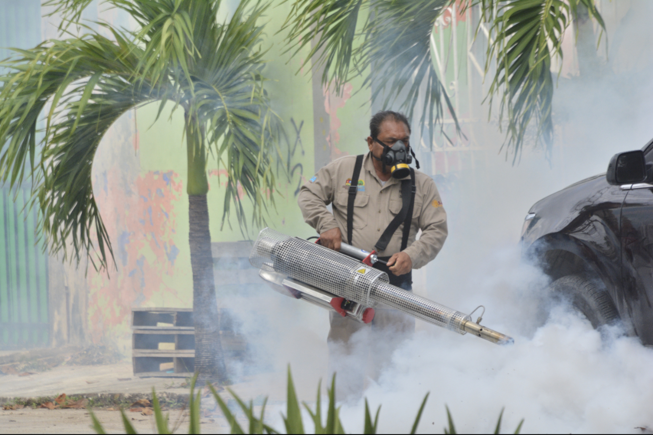 Quintana Roo lidera los  casos de dengue en la Península de Yucatán