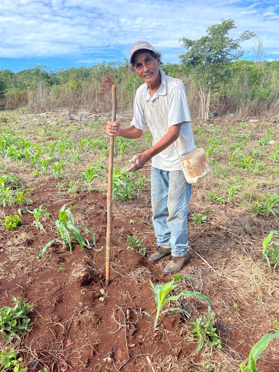 Pedro considera que la siembra a base de espeque es una costumbre ancestral que no debe morir.