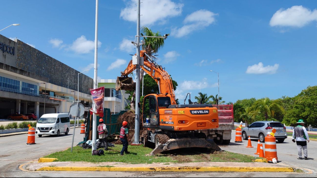 Tren Ligero de Campeche: Retiran palmeras del camellón en el malecón 