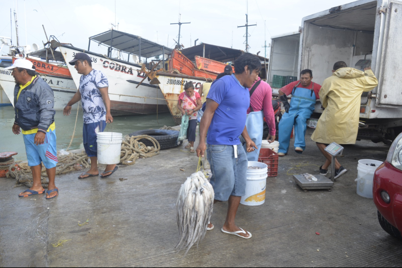 En Yucatán se capturaron 46 mil 824 toneladas de especies marinas