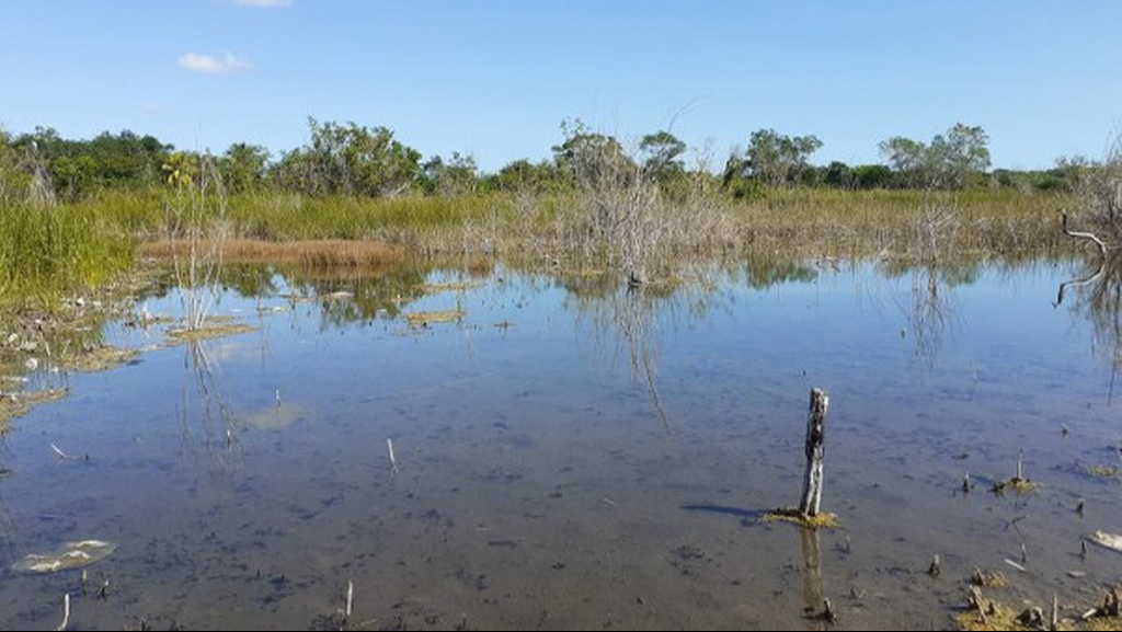 Especialistas piden cuidar el agua en José María Morelos