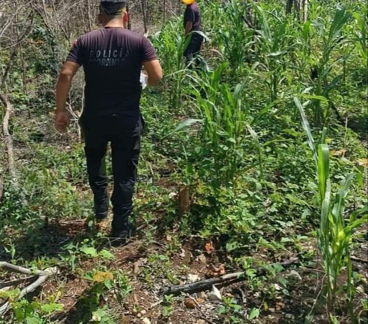 Pobladores se unieron a los recorridos que hacían policías municipales, hasta que dieron con el cuerpo de Pedro