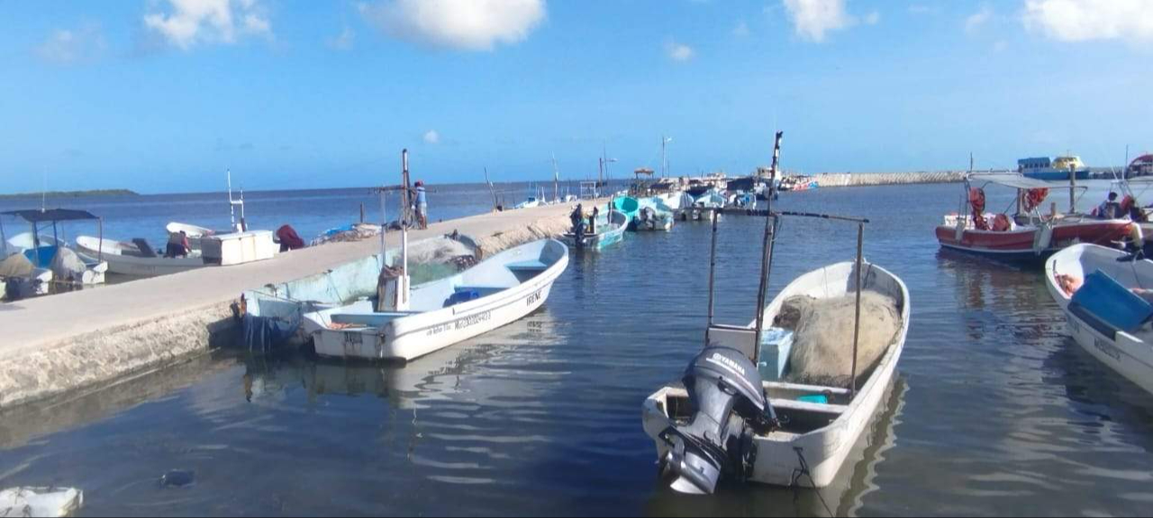 Economía de pescadores se ve afectada por la escasez de langosta y pulpo