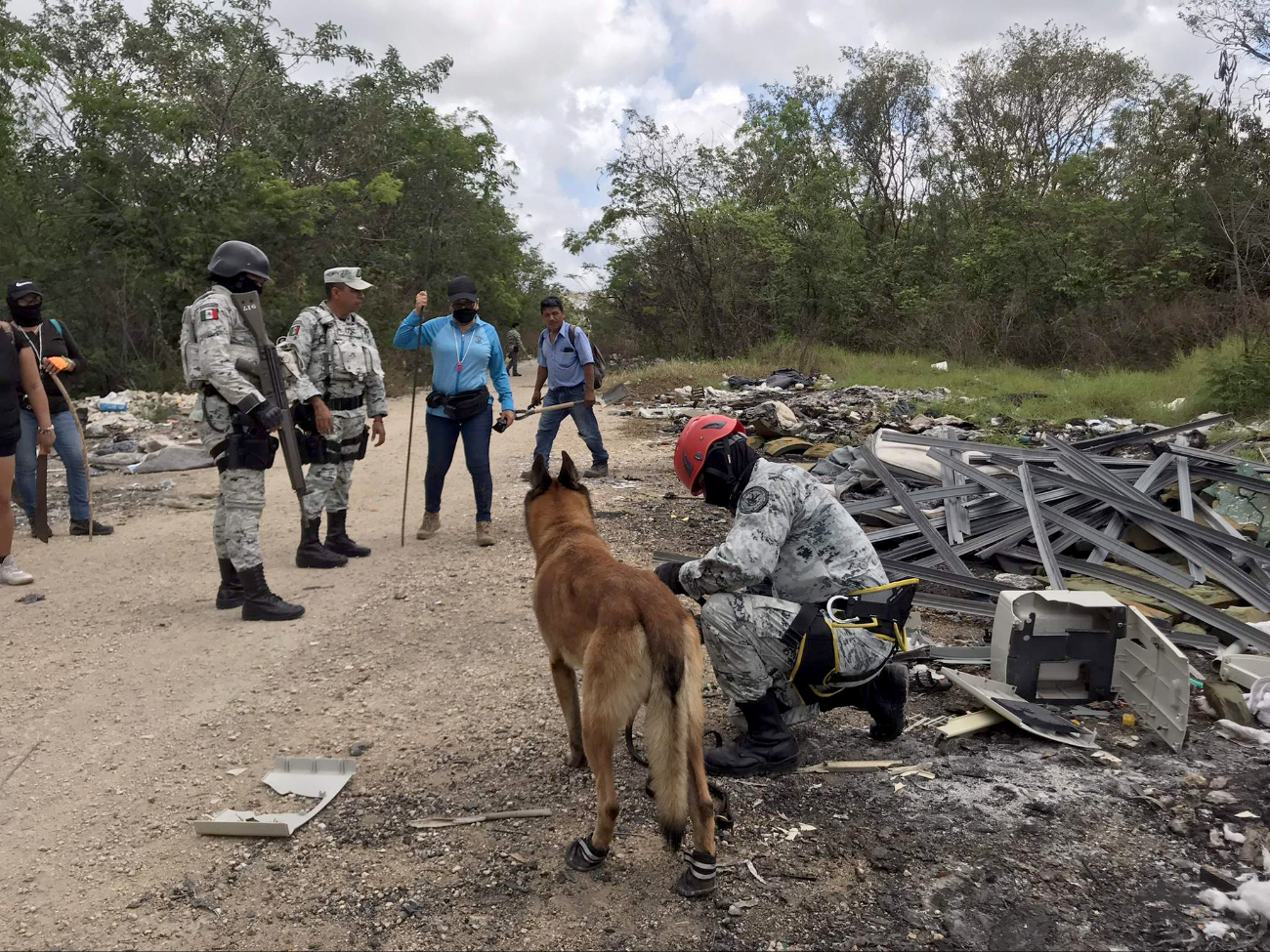 La mayoría de los hechos reportados ocurren en la ciudad de Cancún