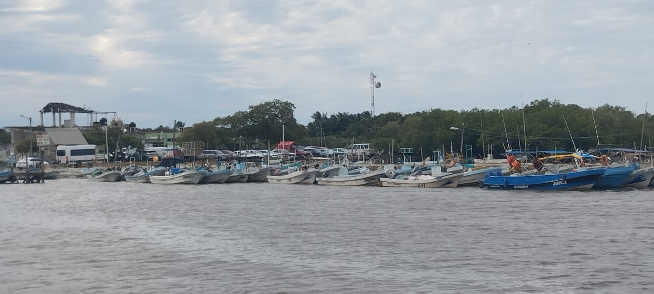 La pesca furtiva podría ser otro causante de la poca cantidad de langosta y pulpo