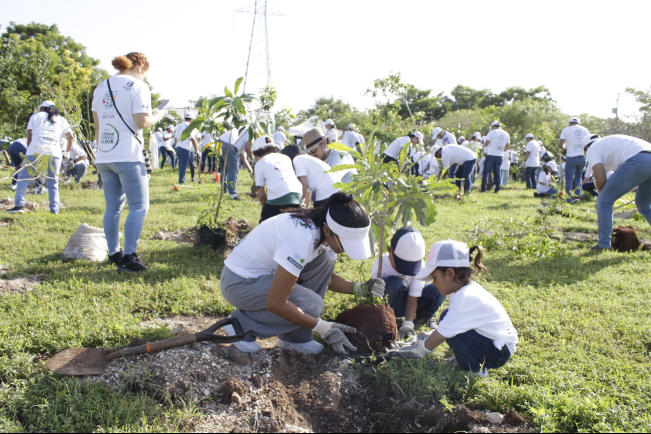 Plantan dos mil árboles  en el fraccionamiento Ciudad Caucel de Mérida