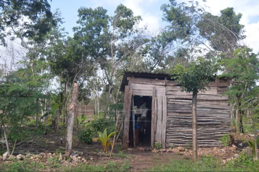 Colonias irregulares en Chetumal  llenas de 