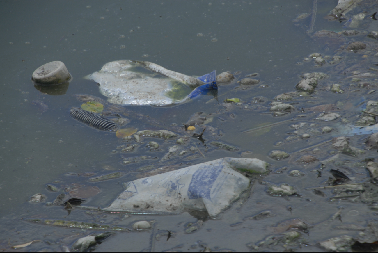 Se exhorta a evitar dejar agua estancada por mucho tiempo, mantener un entorno limpio y libre de criaderos de mosquitos