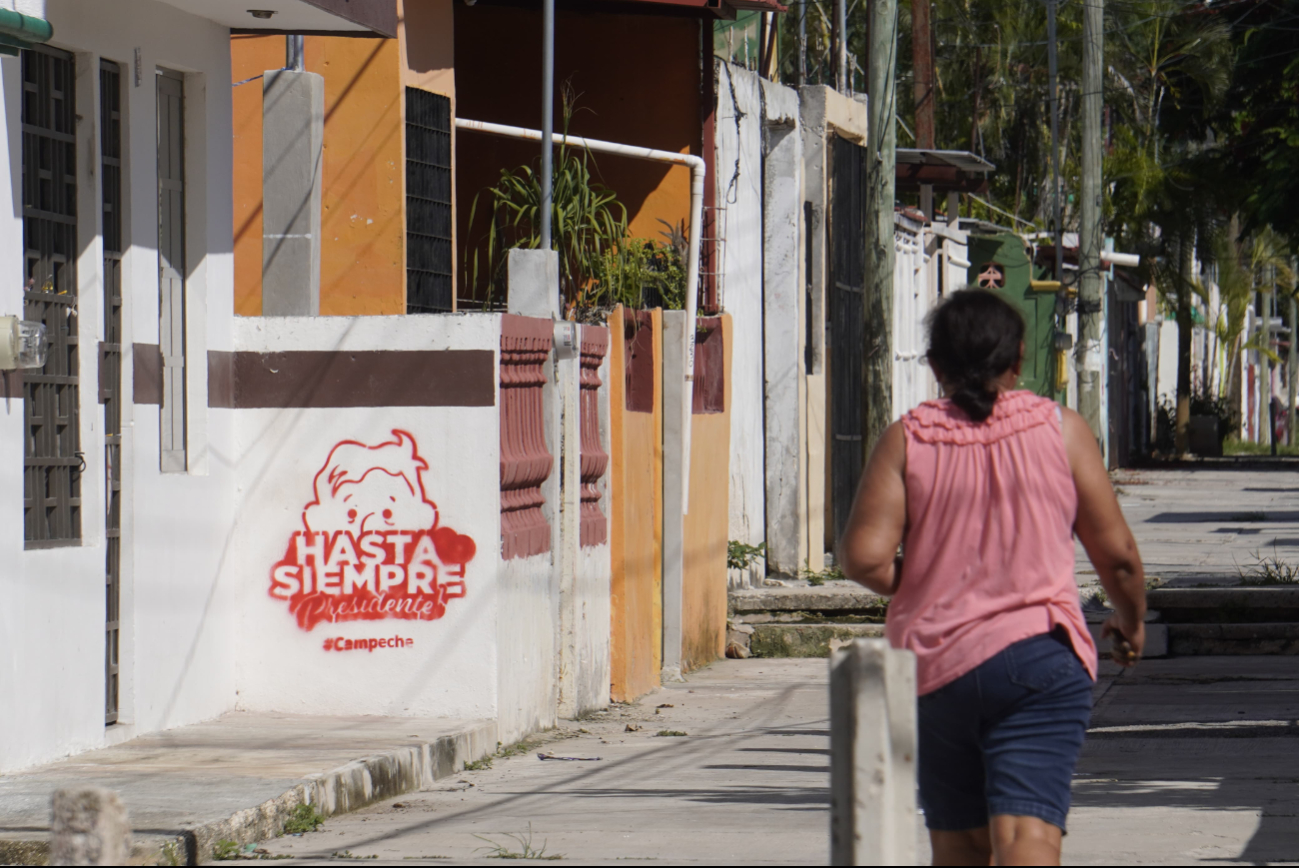 Avenida Oaxaca y andador Colima de Fidel Velázquez