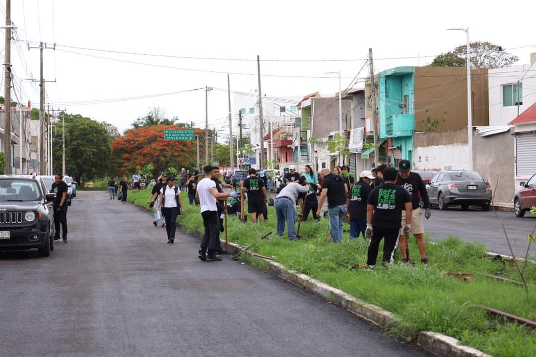 Diversas especies de plantas en la Avenida Colosio tendrán que ser reubicadas debido al uso del terreno federal.