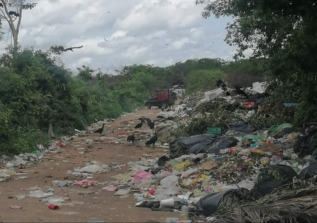 La basura se ha acumulado a lo largo de la entrada al basurero