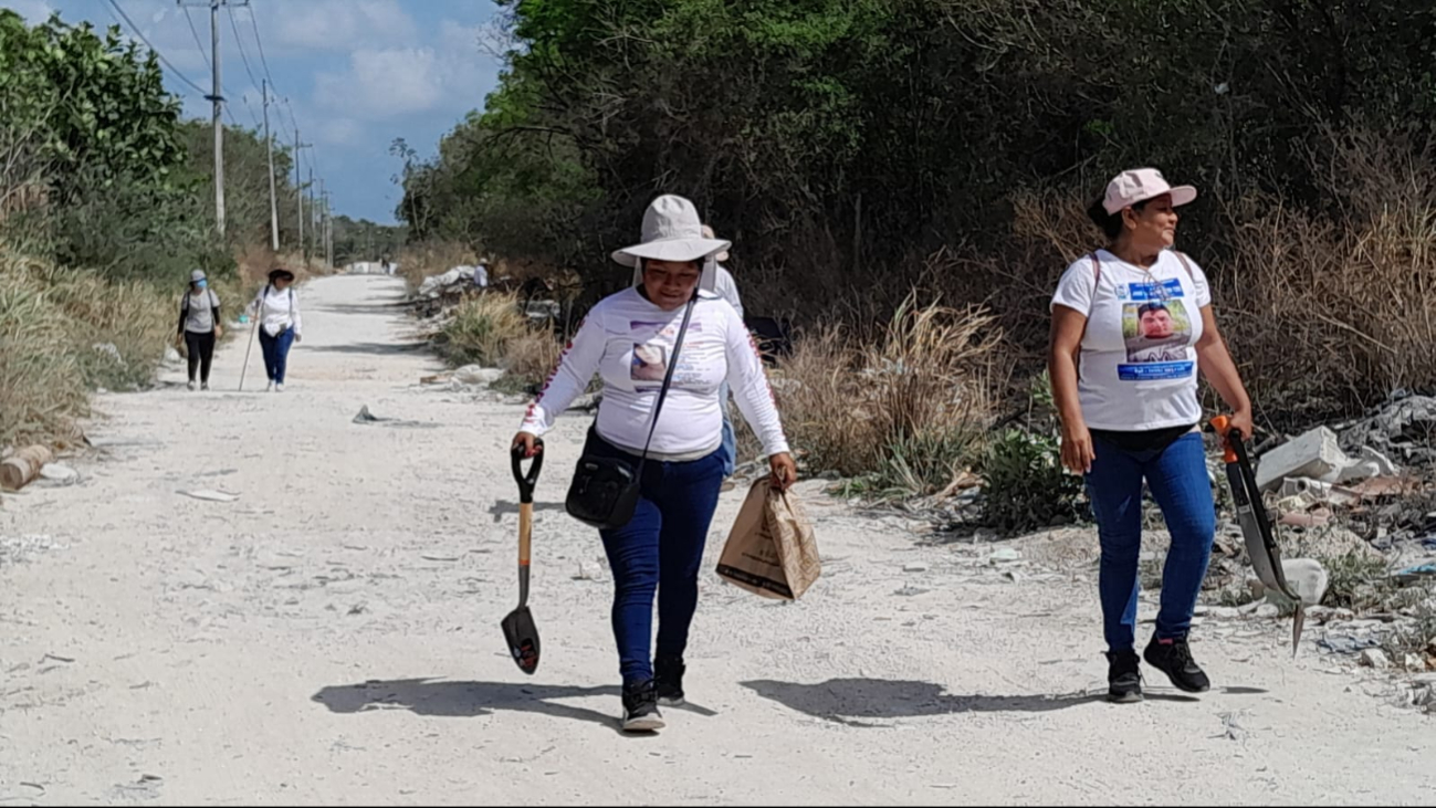 En la Zona Maya, hasta ahora, los operativos no han tenido resultados positivos