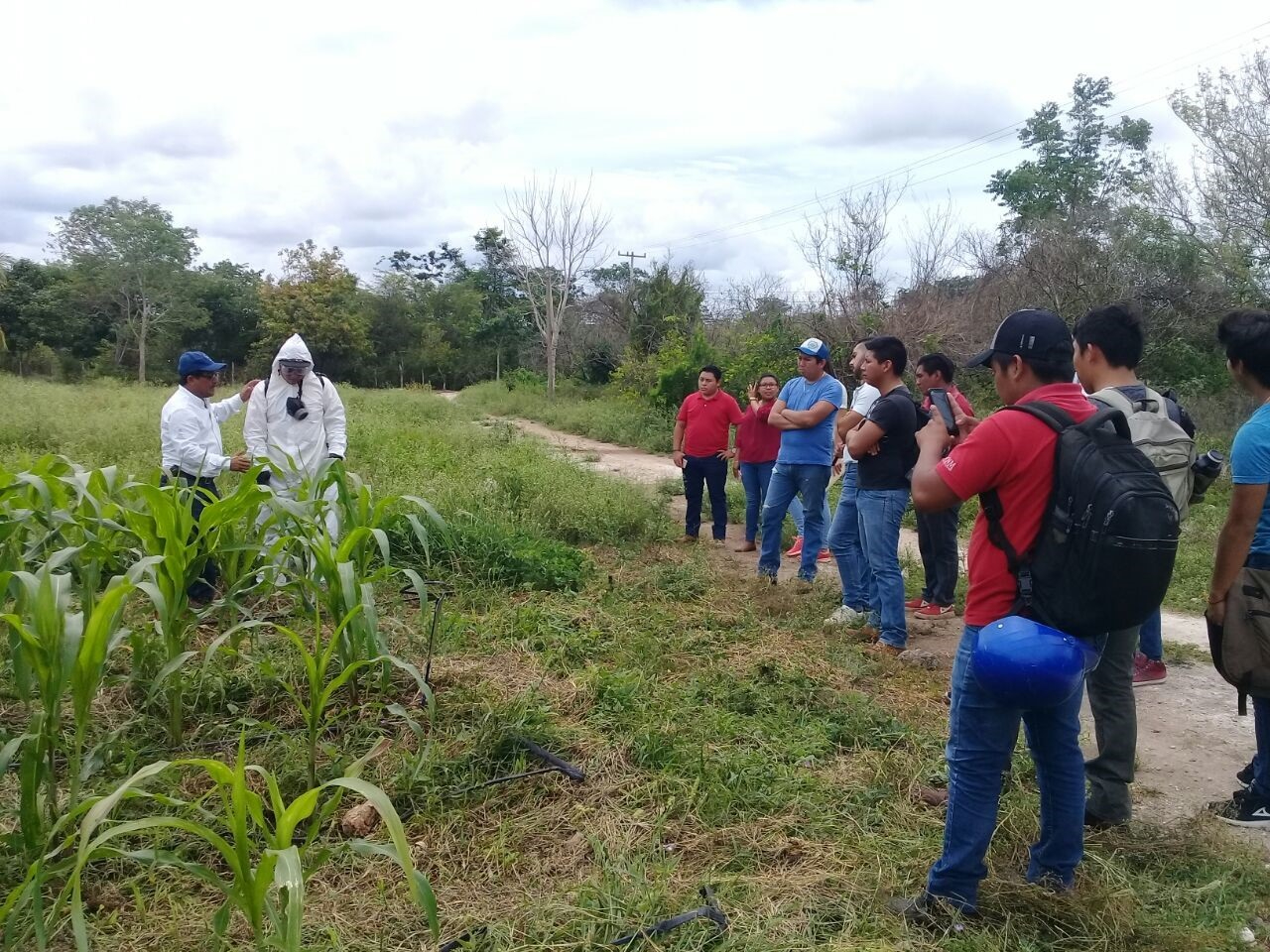 Familias de Cabichén recibirán asesoría sobre cómo manejar agroquímicos de uso cotidiano