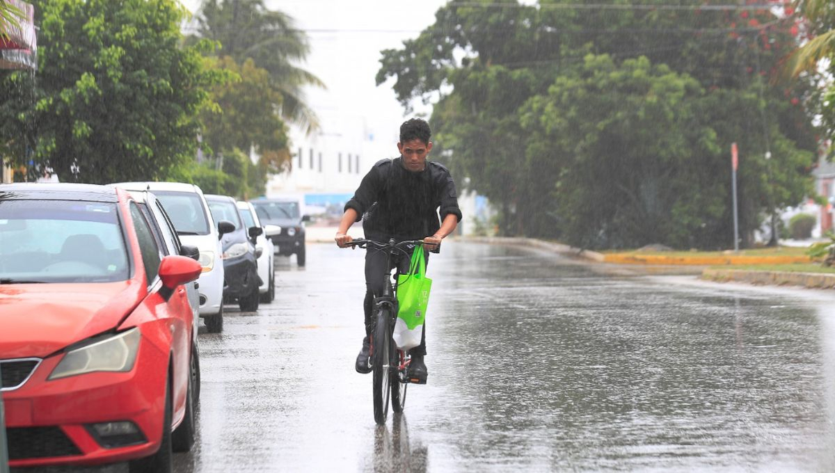 Las lluvias vienen acompañadas con fuertes vientos