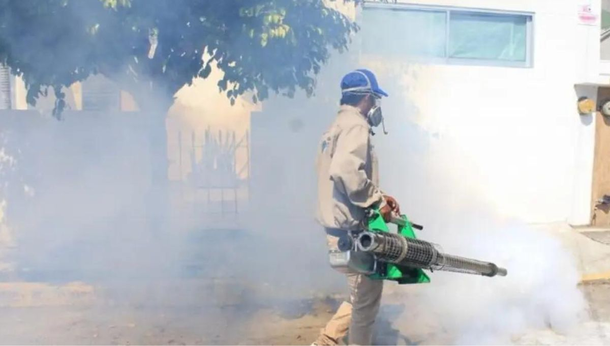 Durante la última semana de julio se registró un aumento significativo de casos de dengue en México