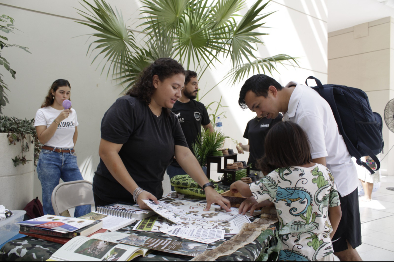 Serpientes sorprenden durante un festival en Mérida