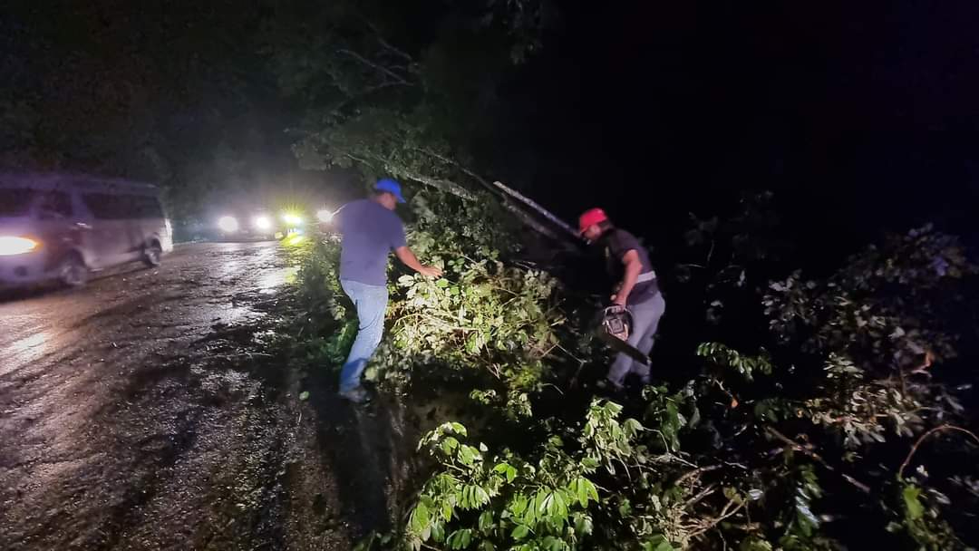 Personal de Protección Civil Municipal (PCM) acudió al kilómetro 44 de la carretera Escárcega-Chetumal tras un reporte de la SPSC sobre árboles caídos.