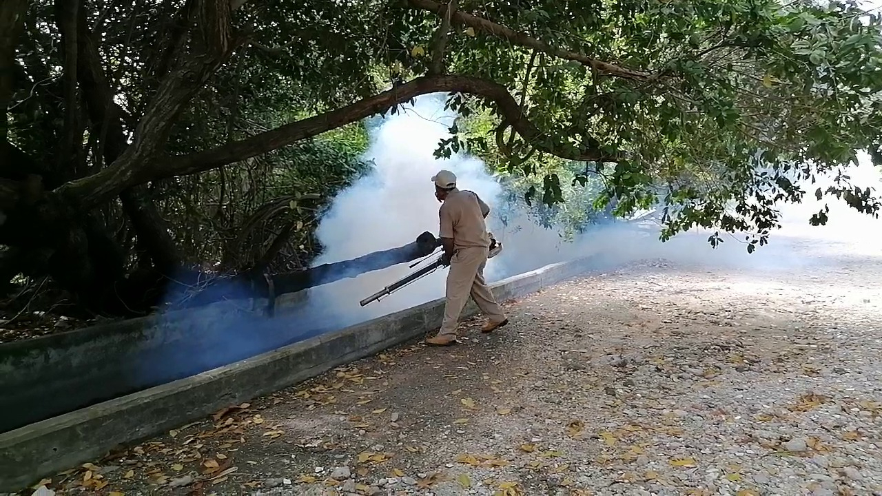 ¡Alarmante! Casos de dengue en Ciudad del Carmen se disparan 