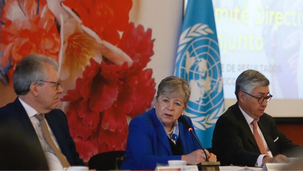 La titular de la SRE, Alicia Bárcena, encbezó  la reunión del comité directivo conjunto del Marco de Cooperación de la ONU