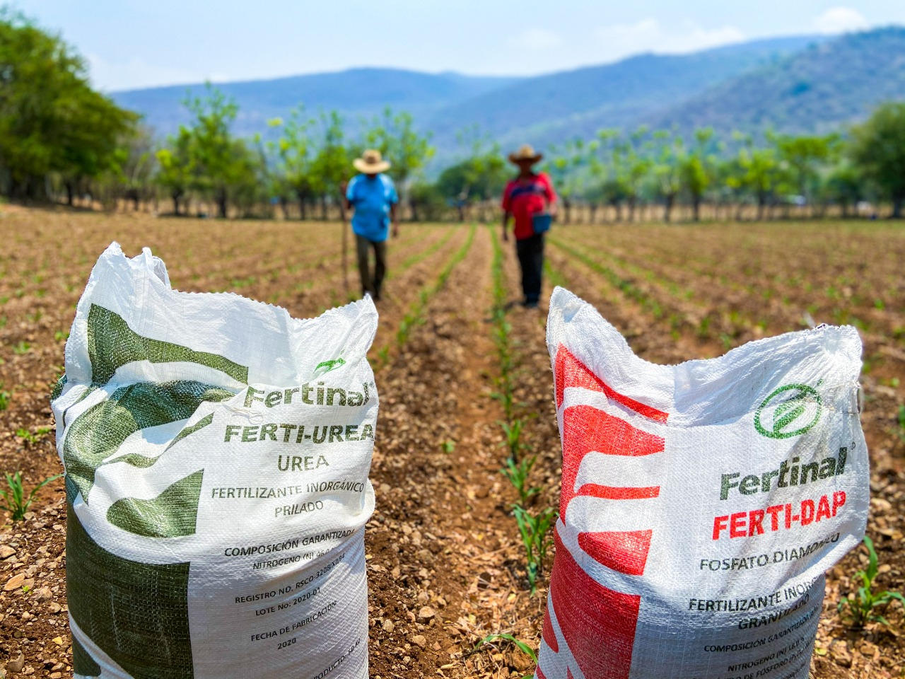 El programa "Fertilizantes para el Bienestar" ha apoyado a 28,226 personas.