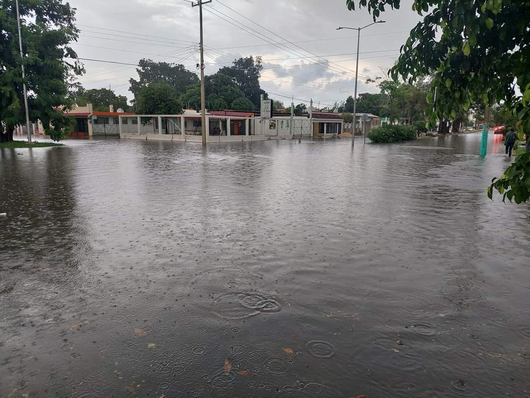 Las calles de la capital de Quintana Roo, quedó con inundaciones luego de aproximadamente una hora de lluvias , lo que dejó problemas en viviendas y vehículos