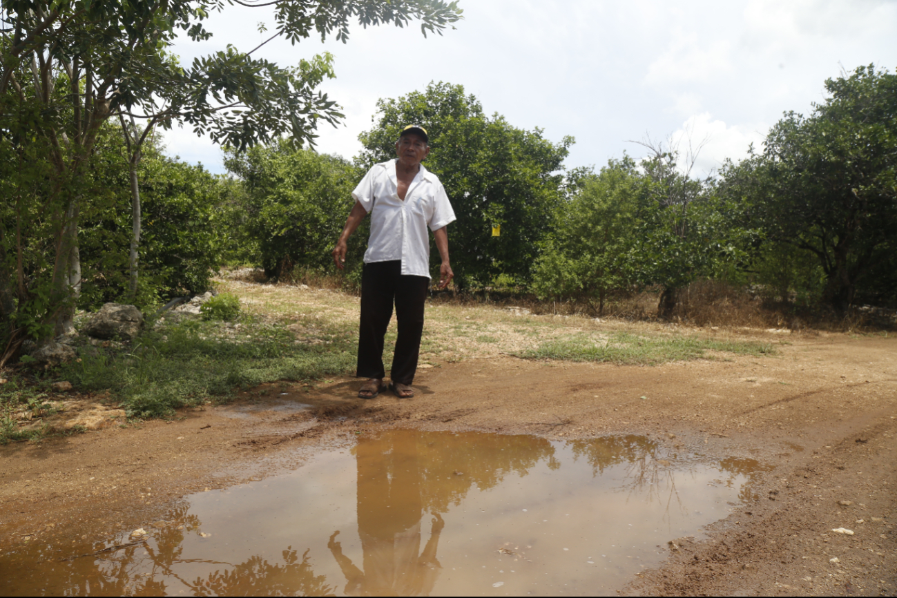 Algunos apicultores temen que baje la venta del producto de exportación