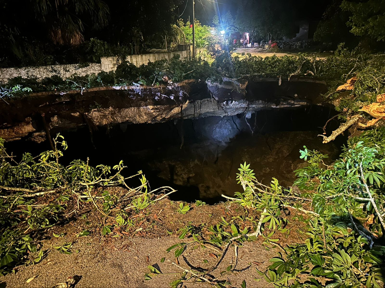 El socavón del cenote se tragó un árbol de ceiba de 15 metros de altura