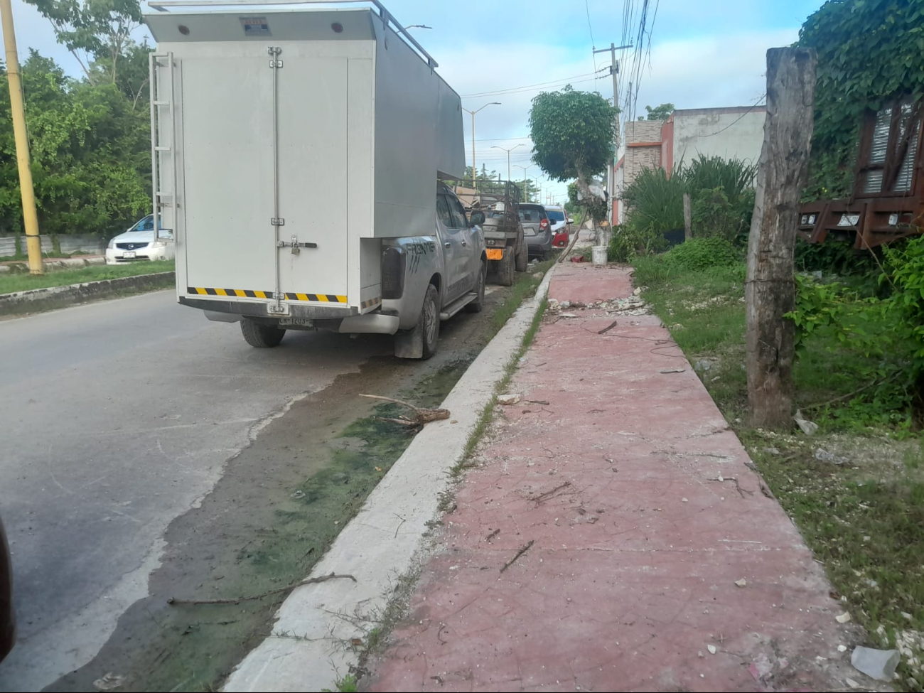 Intentan robar en camioneta estacionada.