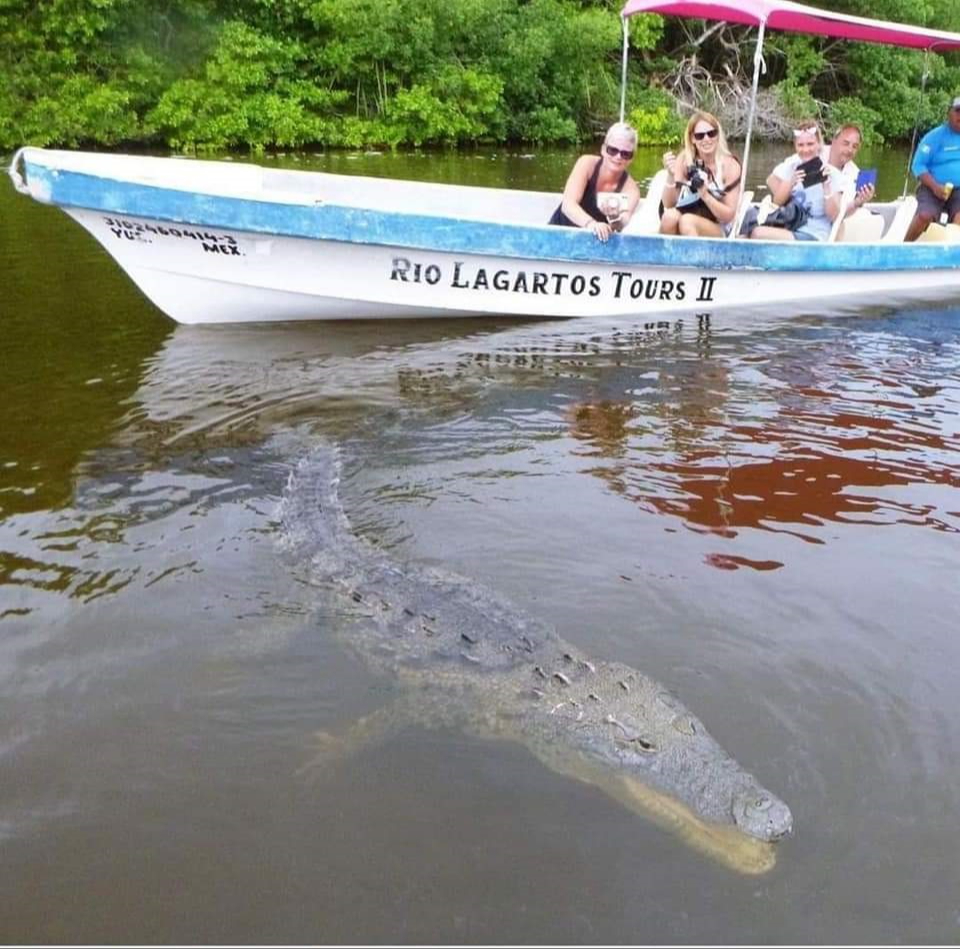 ¿Dónde se pueden encontrar cocodrilos en Yucatán?