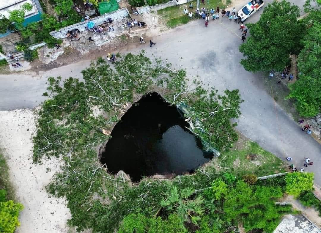 Caída de una ceiba a un cenote en Valladolid es ‘mal augurio’,  revela defensor maya