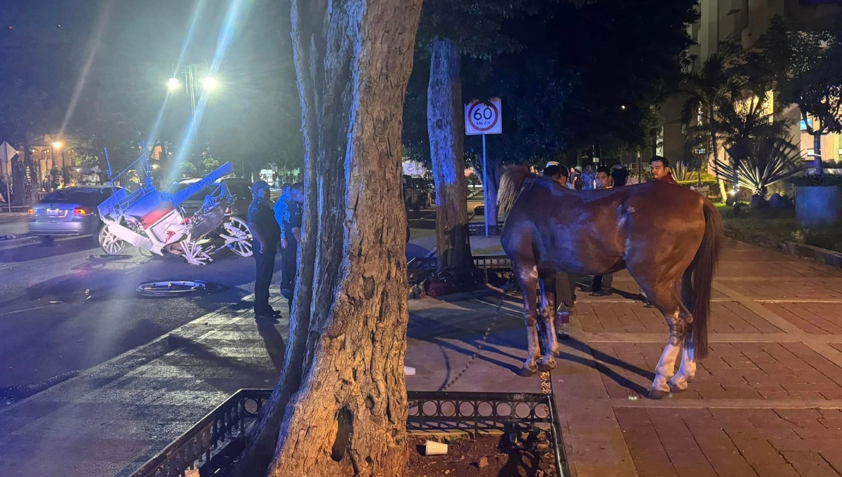 Conductor choca contra una calesa jalada por un caballo en Mérida