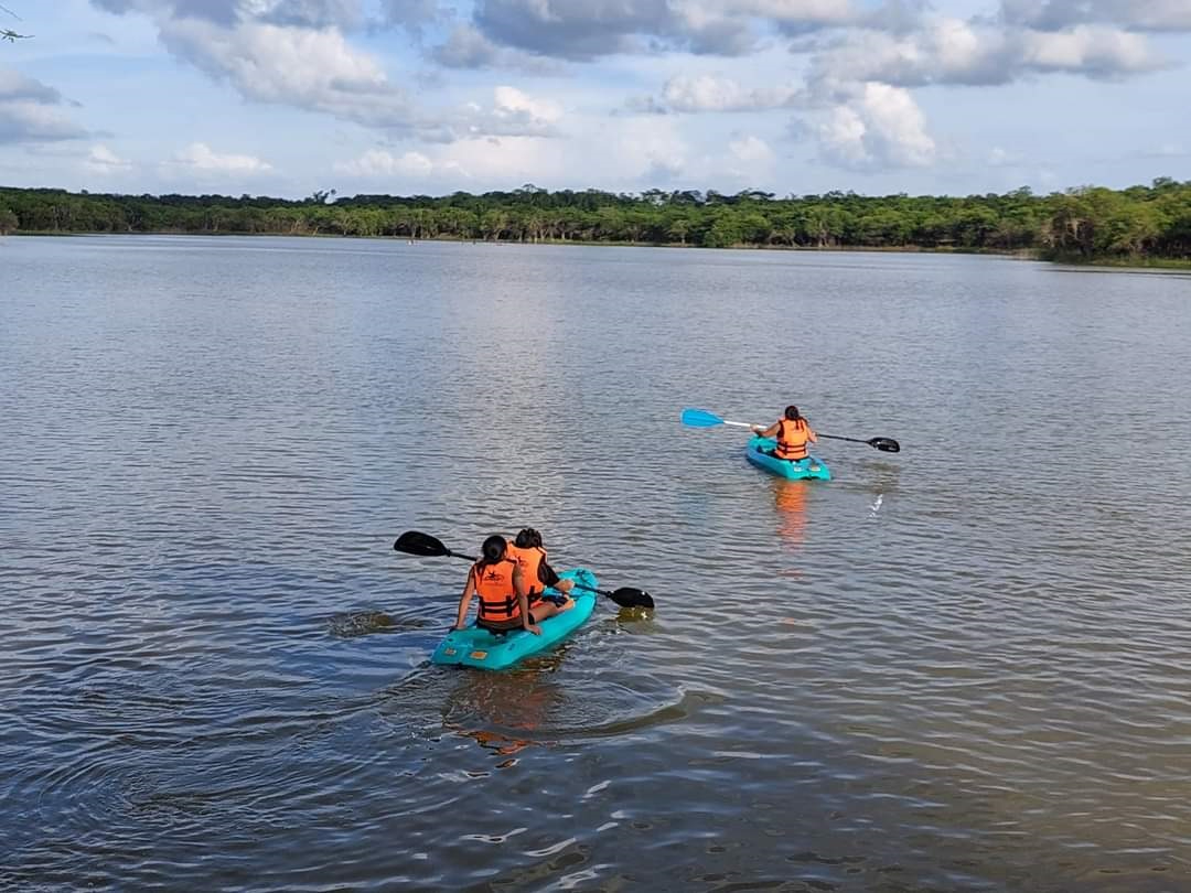 El parador ofrece paseos en kayak, senderismo y avistamiento de aves y grandes felinos