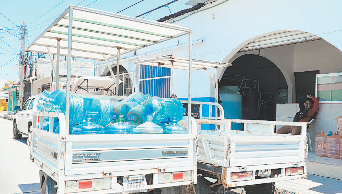 Suspenden negocios de agua potable en Ciudad del Carmen por tener "animalitos"