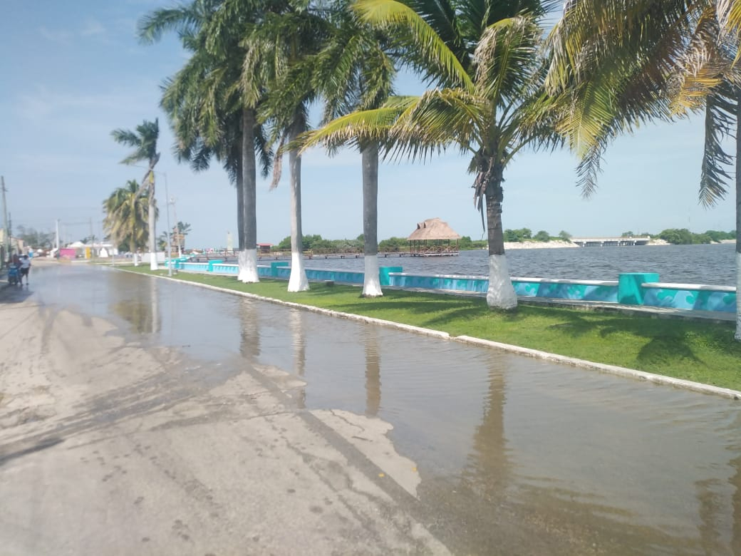 No hay colonias inundadas y se han tomado medidas preventivas como podar árboles y limpiar drenajes