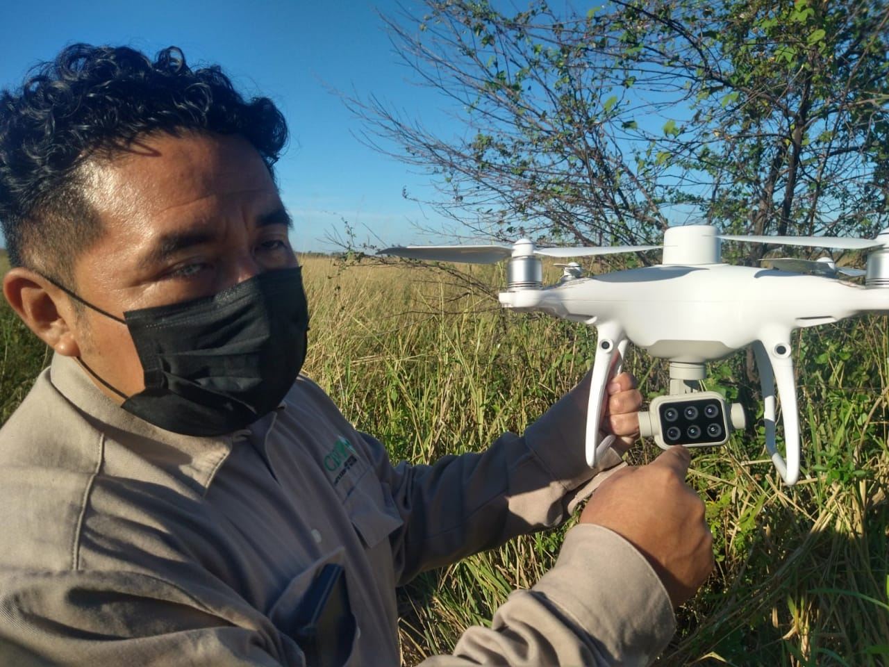 Despliegan drones en Tizimín para combatir la plaga de langostas