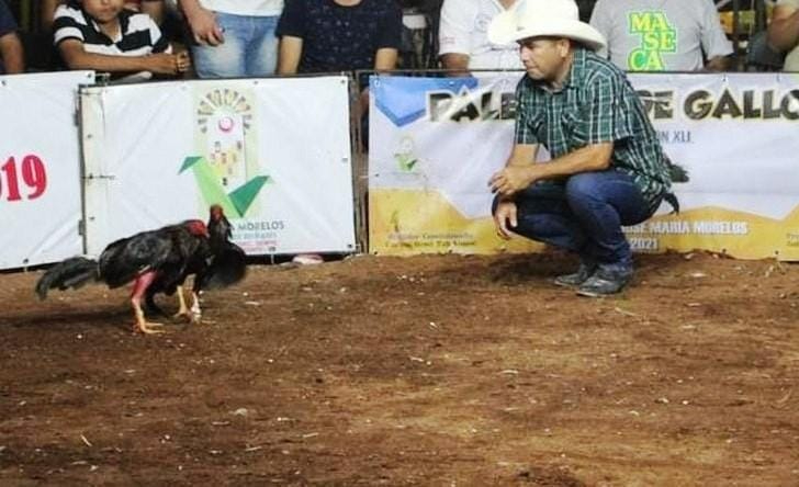 Galleros piden una nueva legislatura que retome la Ley de Protección y Bienestar Animal