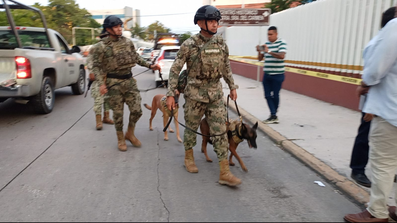 Elementos caninos llegaron al lugar