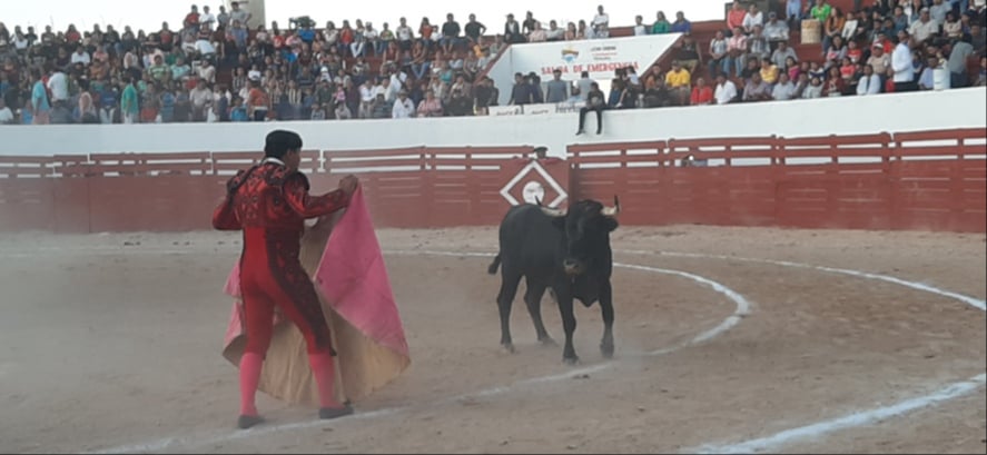 Los organizadores pueden hacer faenas, pero sin sacrificar al animal