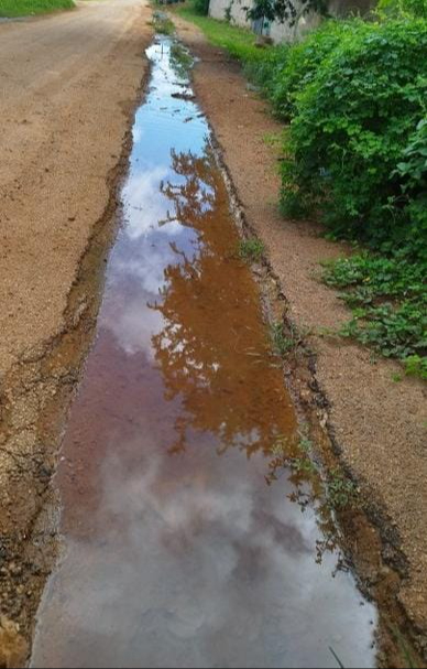 Vecinos de la colonia Doctores, pedin a las autoridades reparan la fuga que tienen hace meses