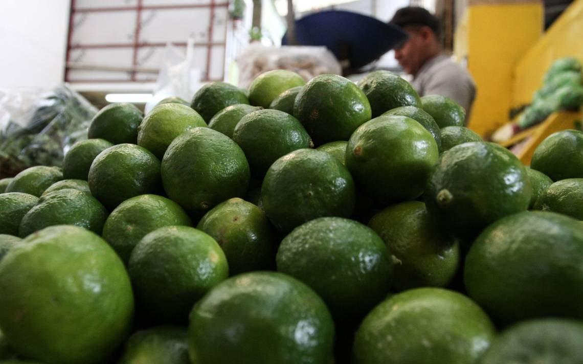 Producción de limones en Michoacán