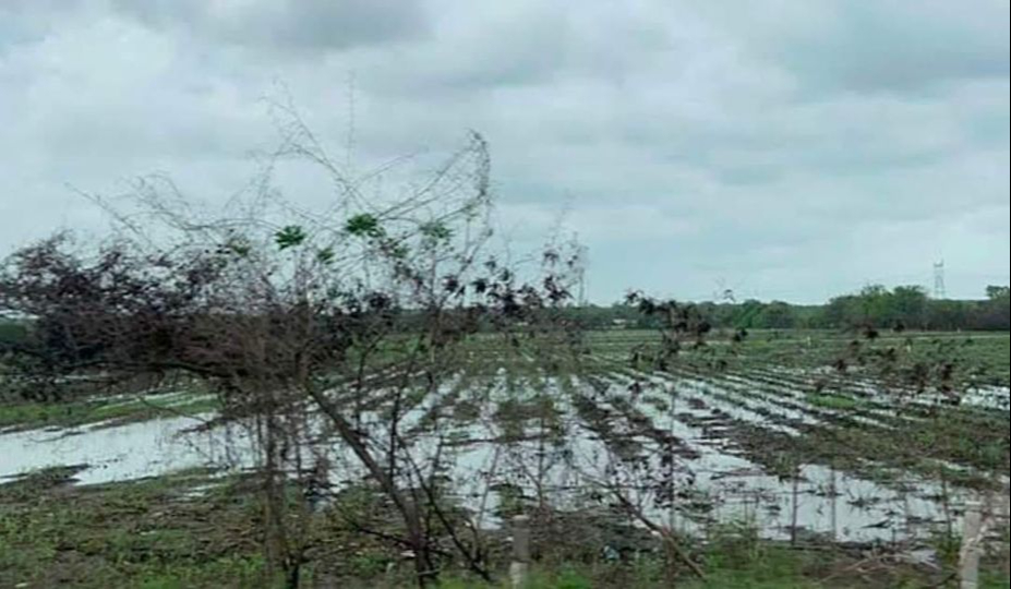 Se pronostican más lluvias durante el fin de semana, lo que podría agravar la situación