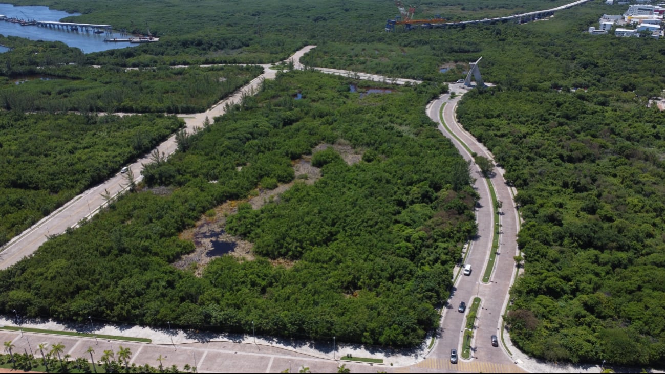 En su momento, habitantes y ambientalistas acusaron “ecocidio” por la construcción.