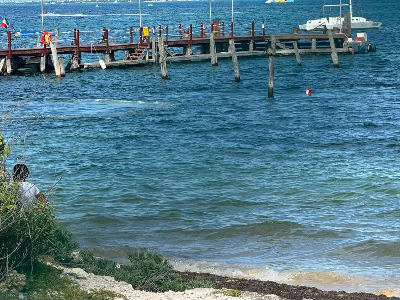 Quién encontró el cráneo lo observó flotando en el mar