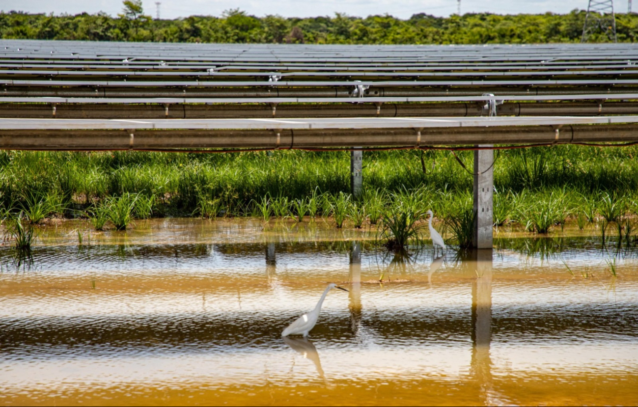 Tras su puesta en marcha representa la no emisión de más de 494 mil toneladas de CO2 anuales.