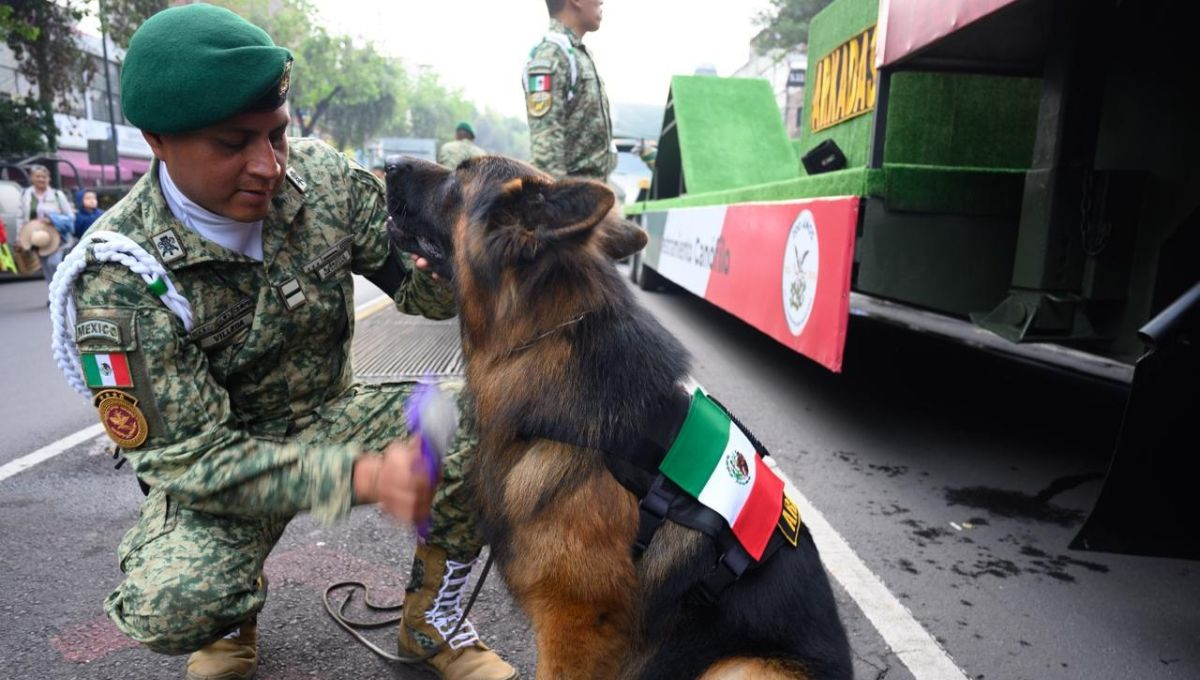 Desfile 16 de septiembre