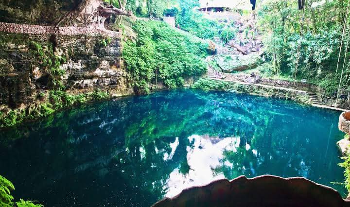 Cenote San Vicente Cumpich,  ofrece un refugio natural para diversas especies de flora y fauna / Especial